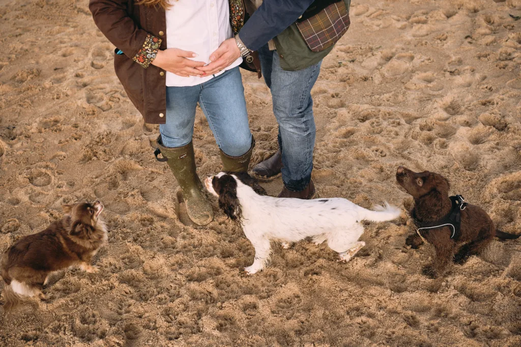 Maternity Photos with Dogs | Seaton Sluice Beach